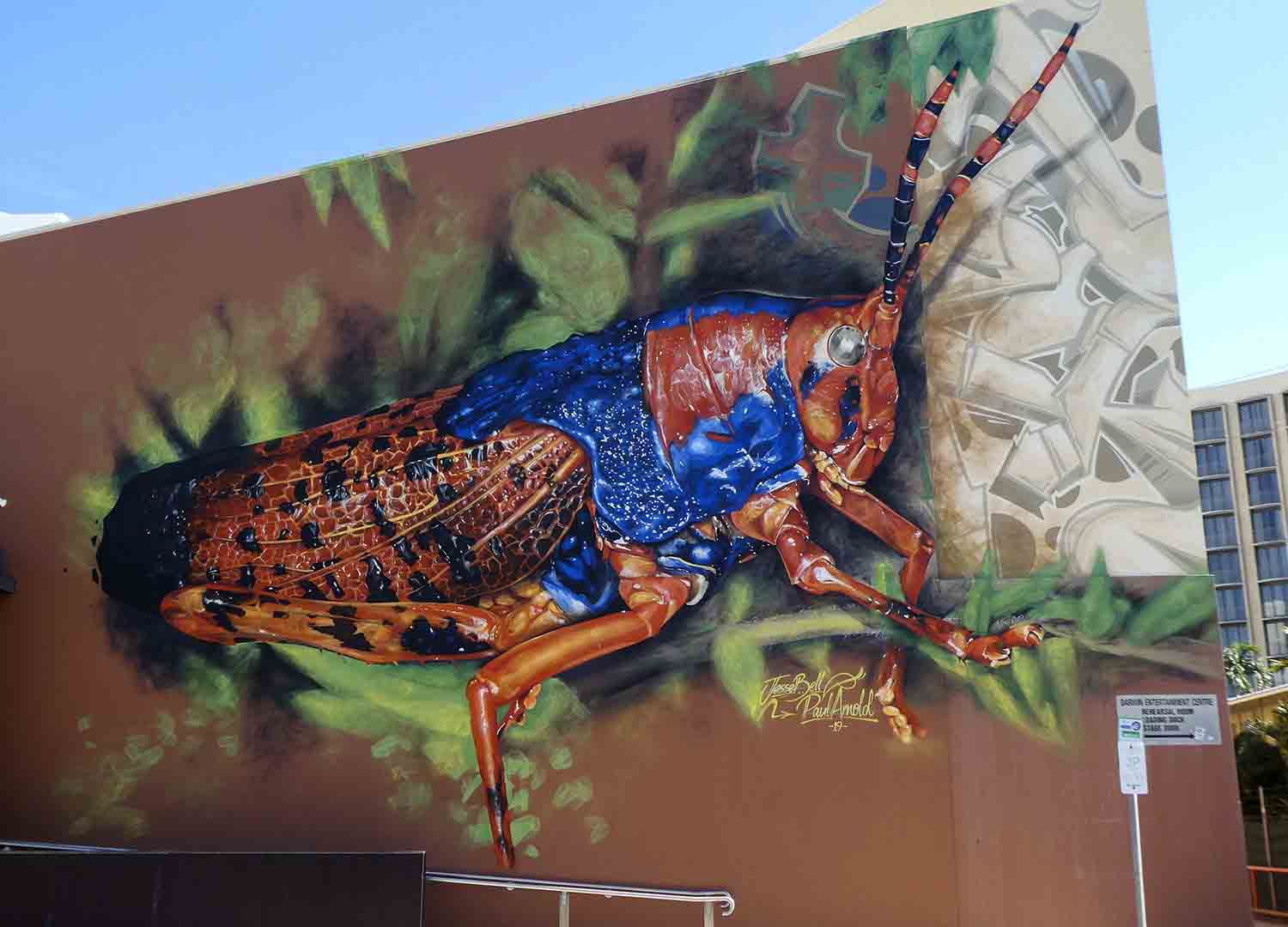 Darwin's Stellar Street Art - Trippin' Turpins