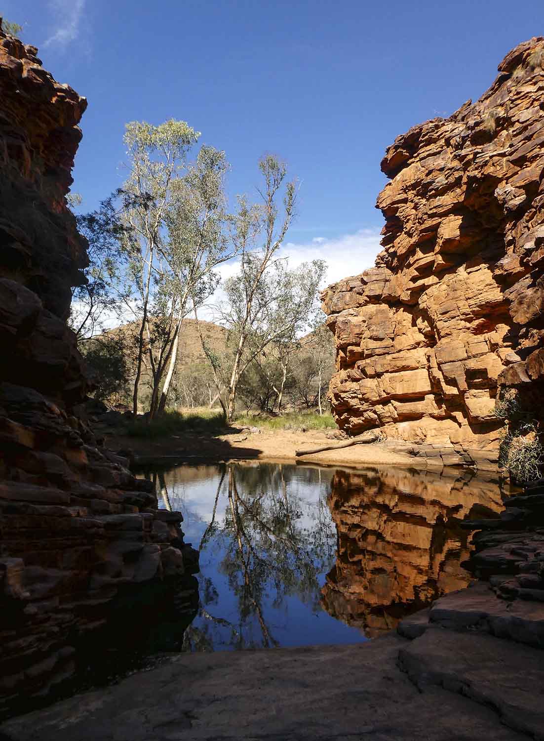 Alice Springs and the MacDonnell Ranges - Trippin' Turpins